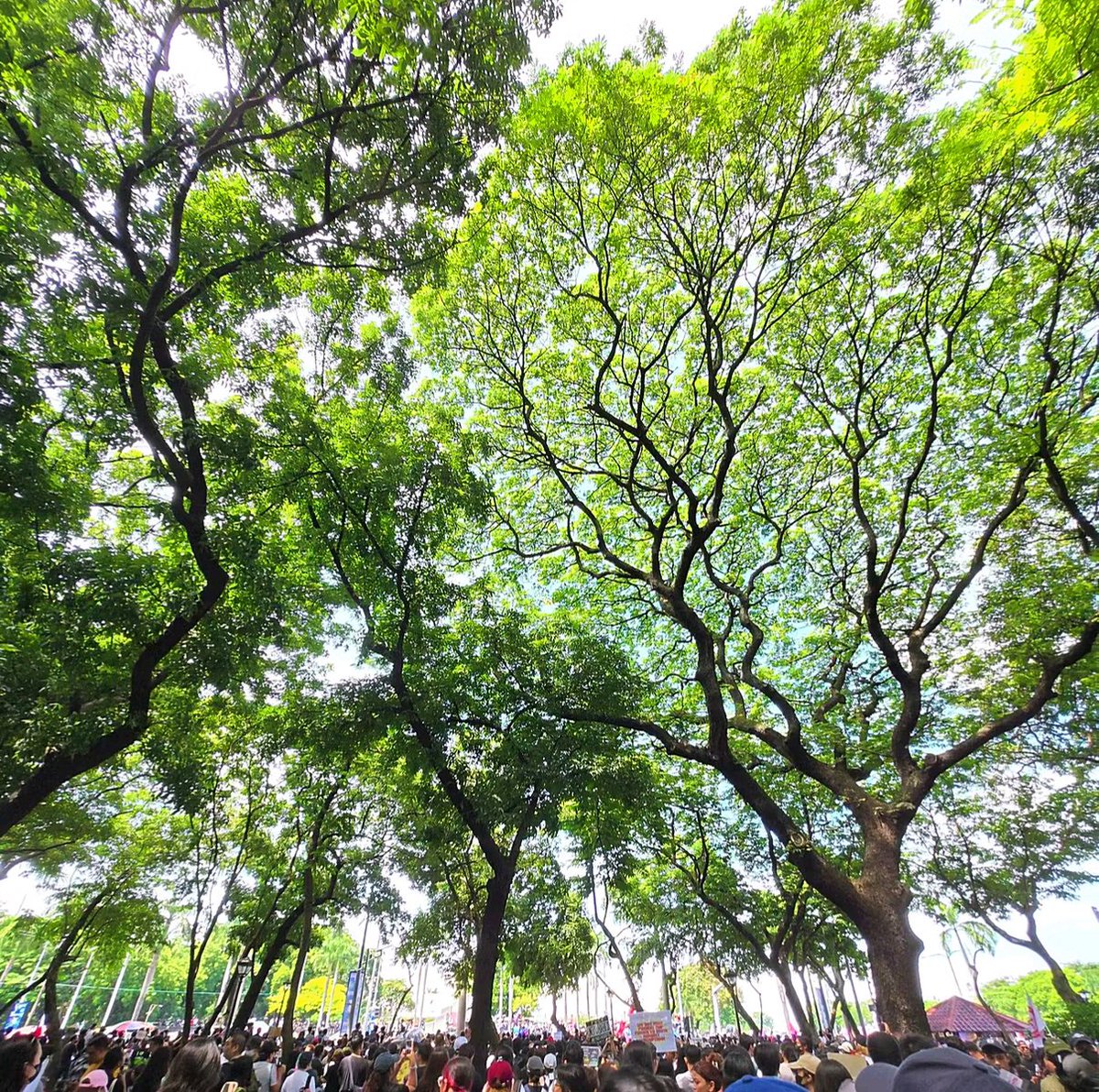 aaaa2986's tweet photo. LUNETA ✅
EDSA ⏭️
Naisigaw ulit ang
ANG TAO, ANG BAYAN NGAYON AY LUMALABAN!
At ramdam na ramdam na galit at puno na nga ang mga tao. Padayon ✊🏼
#LabananAngKorapsyon https://t.co/2wOlsCfa3X