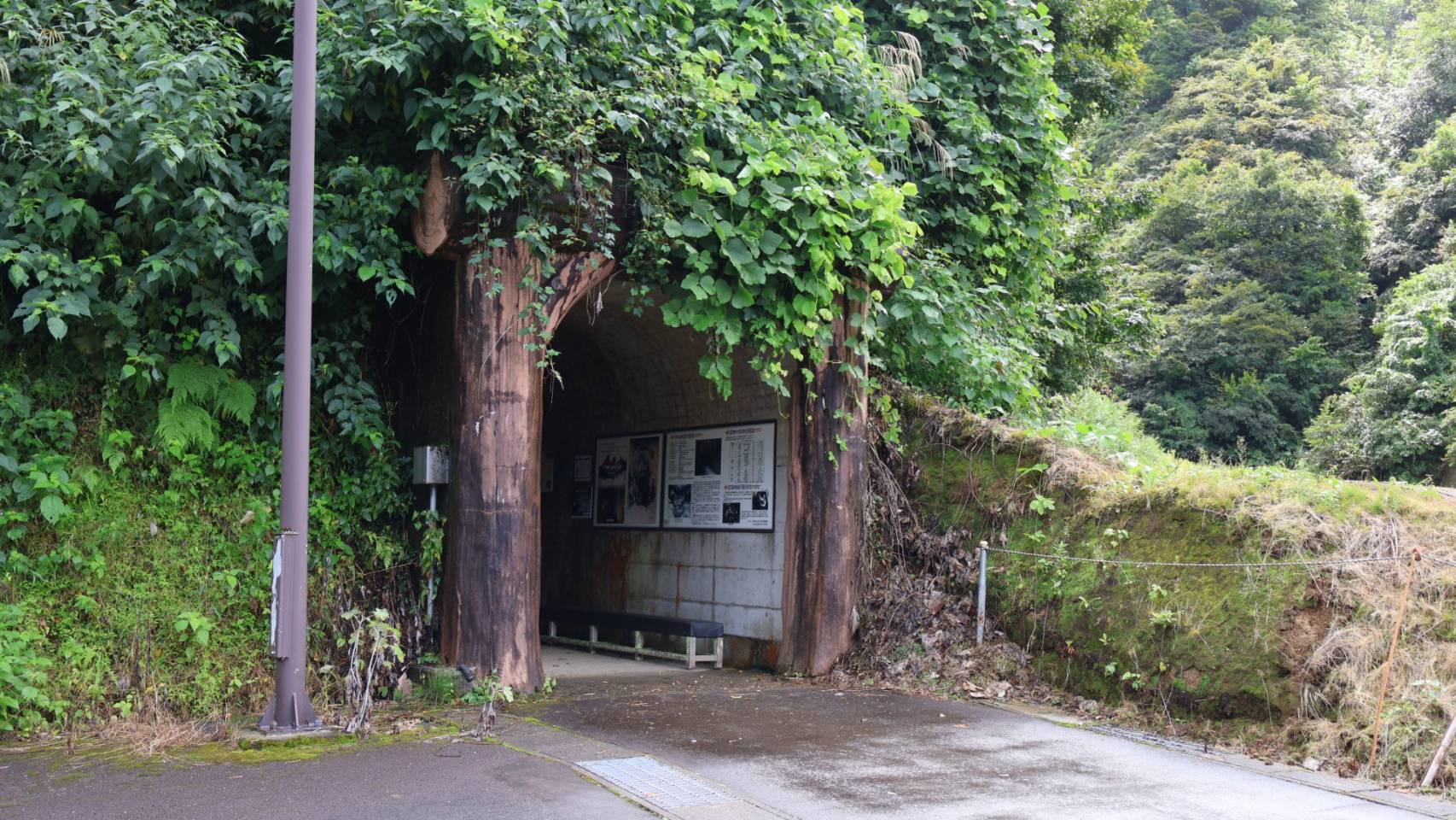 冥府への道　　 冥府への道 - おんJシャドバ部