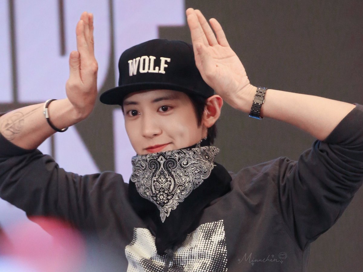 pannchoa tweet media