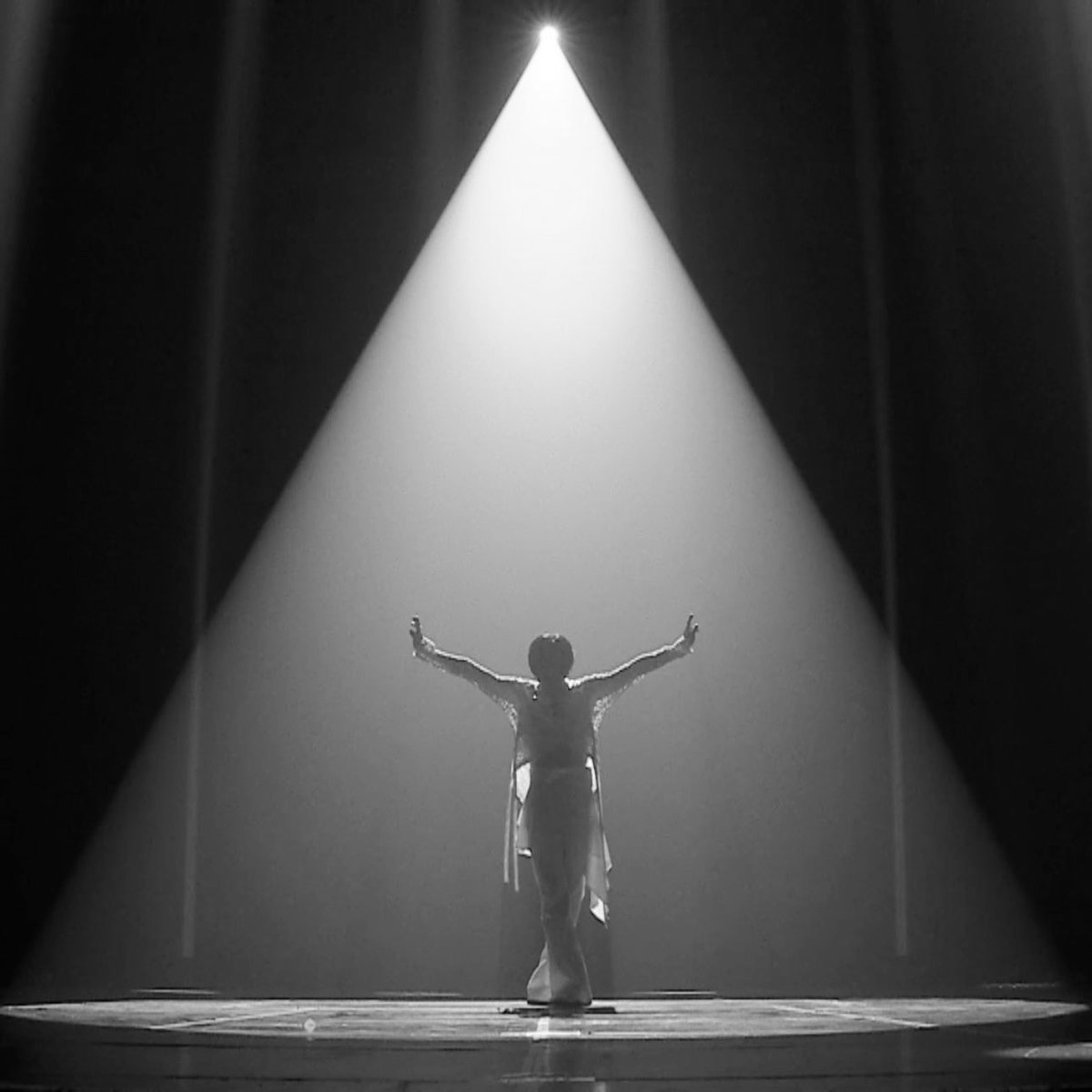 The silhouette