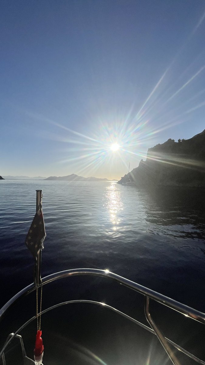 Andrei Trentanodi tweet media