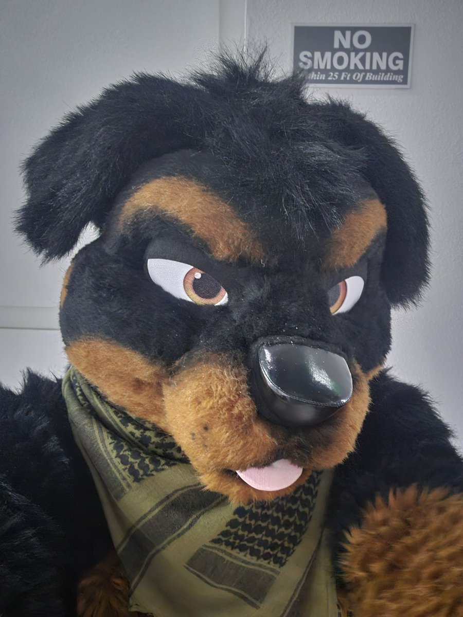 Hoof_Pony's tweet photo. This guy is out and about now! Come get your hugs! https://t.co/X3BlO2vEew