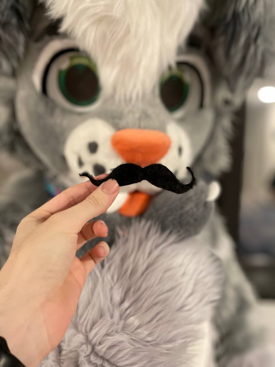 Cliffordeere's tweet image. "I HATE PAWS" - Evil Clifford

#fursuiter #fursuit #FursuitFriday