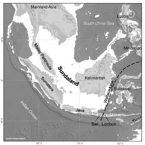 <a href="/IndoPopBase/">Indonesian Pop Base</a> It's expected, as subregion of Sundaland