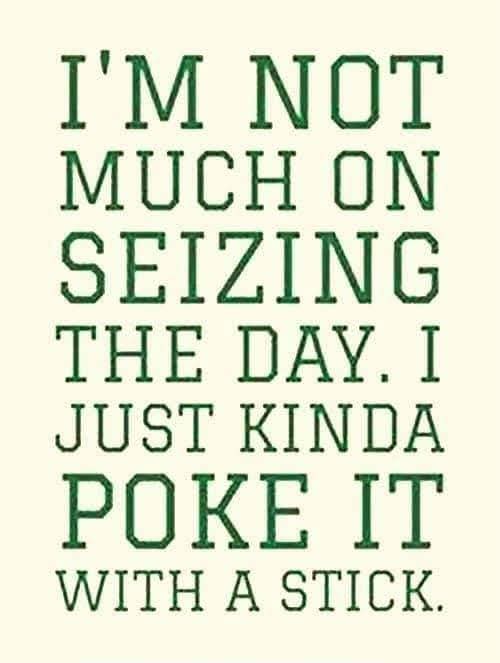 Good Morning Beautiful Friends  💞  Happy Moanday
Remember, the rest of the week only gets better from here  🤣😘
( ͡ᵔ ͜ʖ ͡ᵔ )