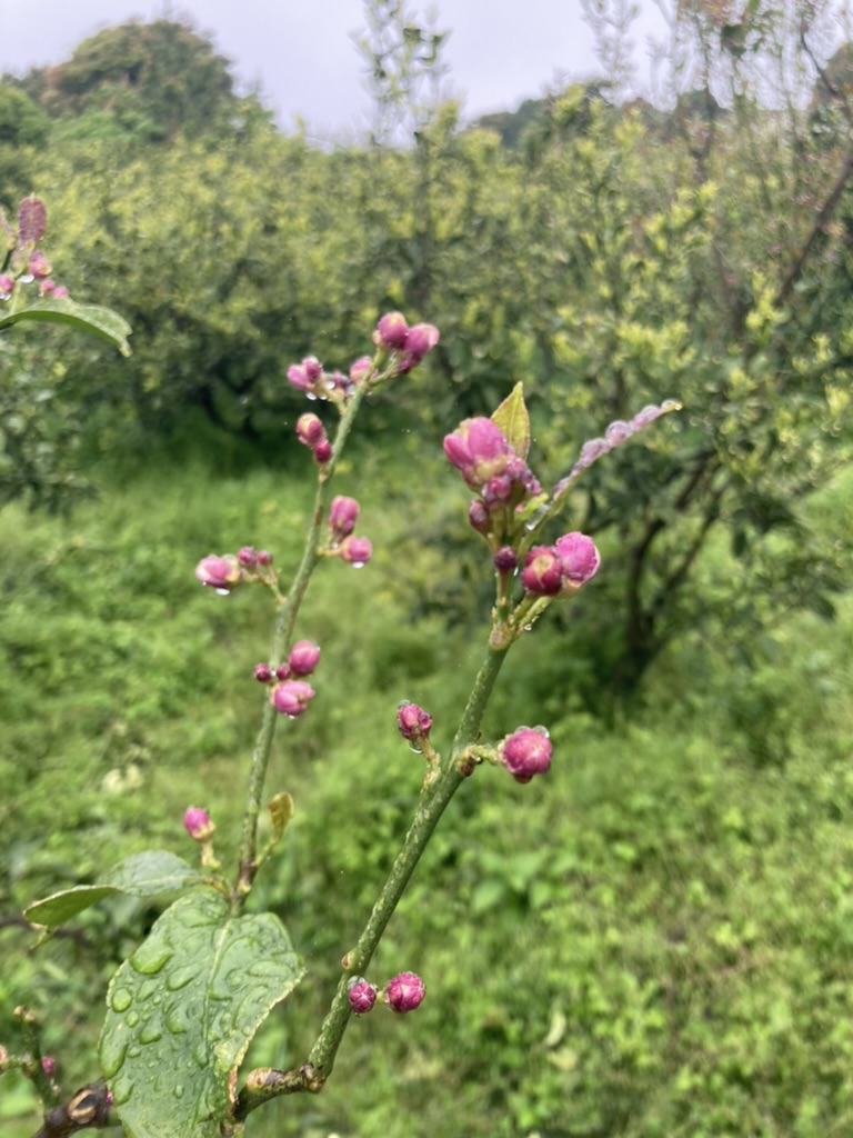 5/1-5/31 (물고기 마음, 해적방송) mulgogi.net/archives/27385