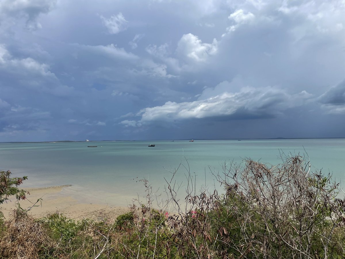 MattBrannRURAL's tweet image. #Darwin