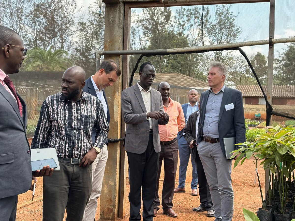 Okisegere Ojepat tweet media