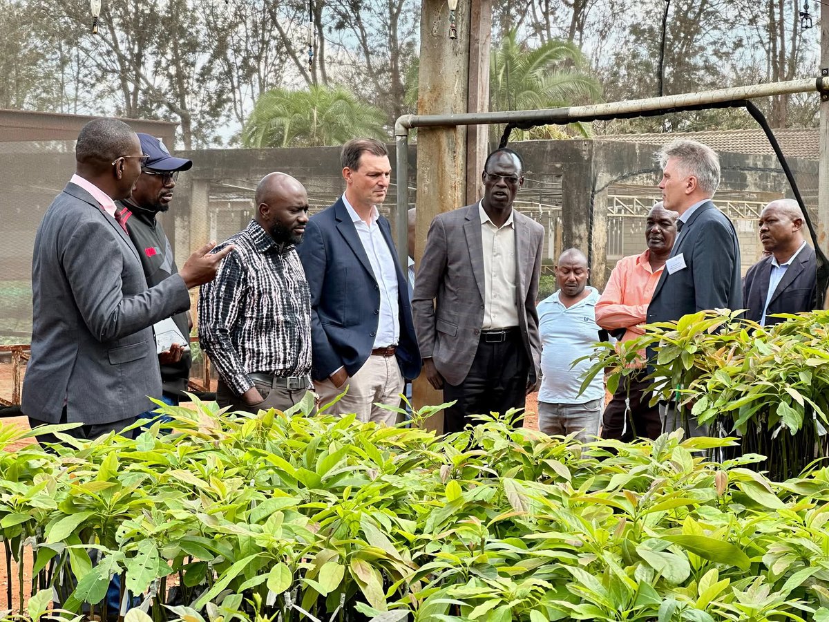 Okisegere Ojepat tweet media