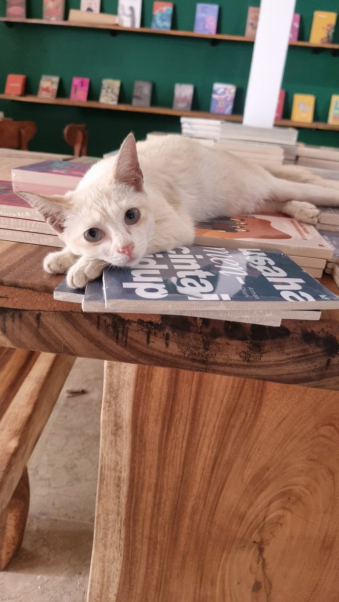 Awi Chin tweet media