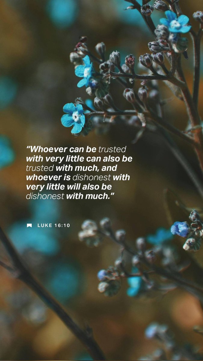 bible.com/verse-of-the-d…
