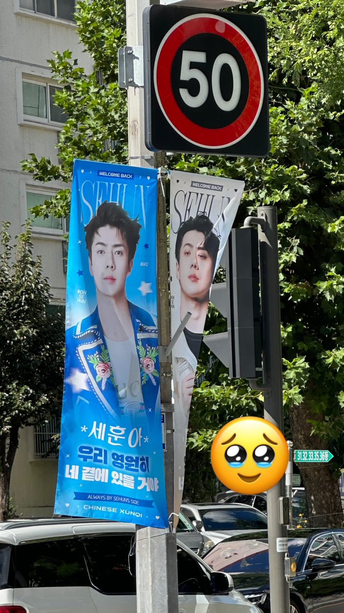 SUHO ins