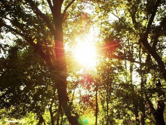 Катерина Галич tweet media