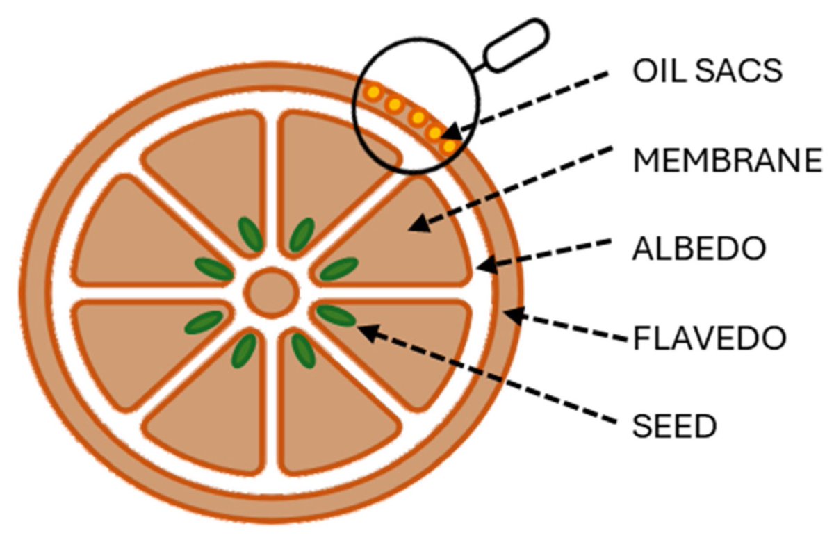 Günün Yazısı 🍊

linkedin.com/posts/can-kaya…