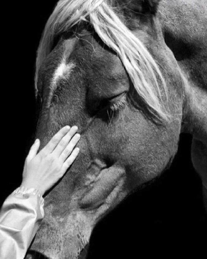 ../ 

- صباح الـ بُعد ما لـ اشواقنا داعي .🍁

.

 #صباح_الخيرᅠ
#بوح_الخاطر 
#رسالة_اليوم 
#صباح_الأشياء_المُشرقة