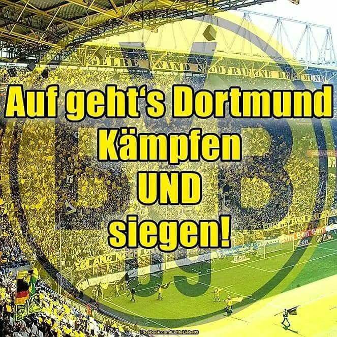 rucola09's tweet image. Spieltach 🖤💛 #bvbwob