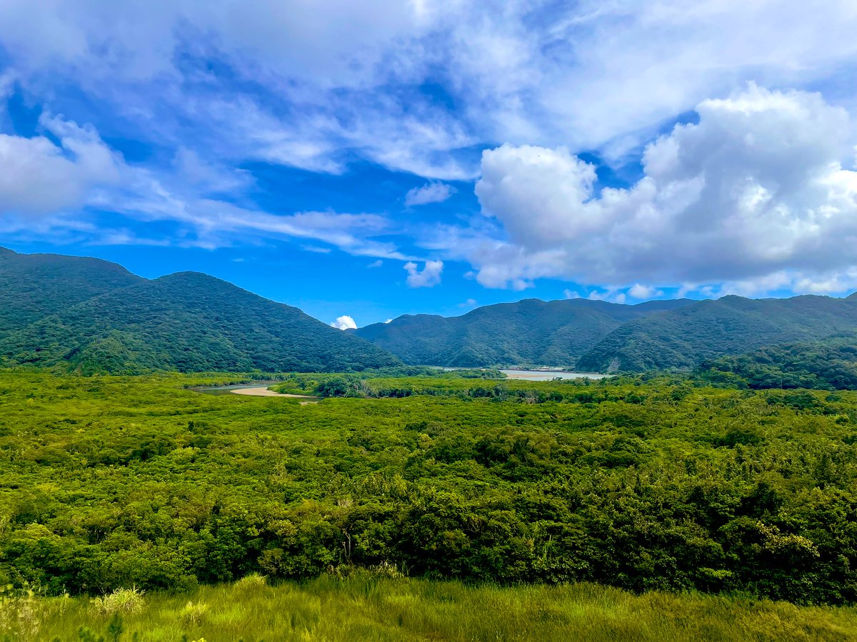 ryt/糞田舎P (@ksinkp) / Posts / X