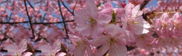 اللهم نور قلوبنا بالإيمان ، وزين عقولنا بالحكمة ، وعافي أبداننا بالصحة والعافية .