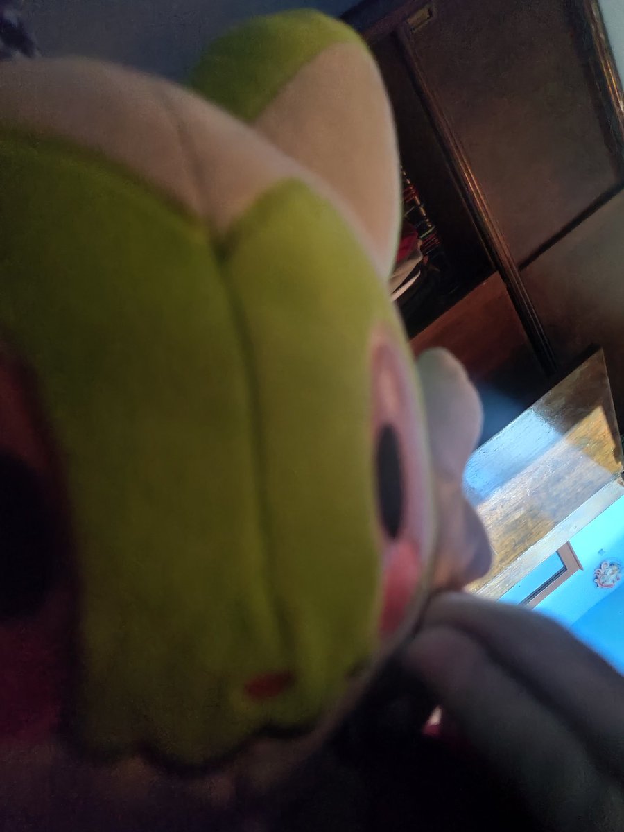 CATBonnUwU's tweet photo. Pollio y yo les deseamos bonita noche UwU 
#Pollio https://t.co/jX2LBuBm7z