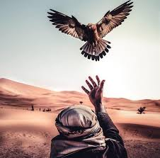 Freedom of life, property, and belief is protected in Islam. The Prophet ﷺ said: “Do not harm yourself or others.” Every human has the right to live safely and with dignity.
#AhmadiyyatTrueIslam #Islam #HolyProphetMuhammad