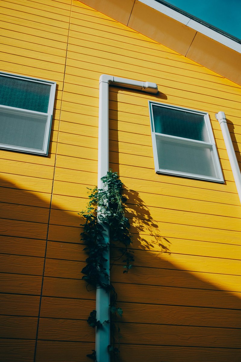 toogoolawah's tweet image. #nikonZ30