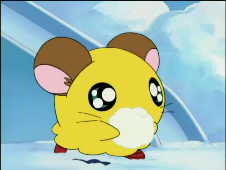 Nise_Hamtaro's tweet image. うきゅきゅ