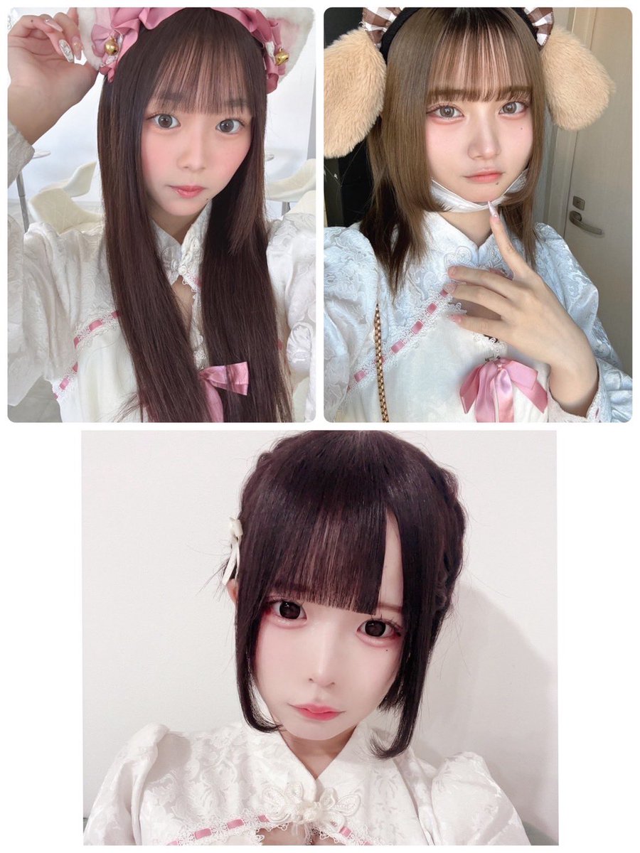 o_whip_o's tweet photo. 🤍今日のほいっぷは🤍

あざらし@nemunemunyanaza 
とど@whip_todo 
うと@uto_nya 
ねこ@neko_whip 
おと@whip_oto 
かぐや@kagunya_ 
と��か🆕@whip_touka 

たくさんのご帰宅お待ちしております！ https://t.co/12qhu4gGvI