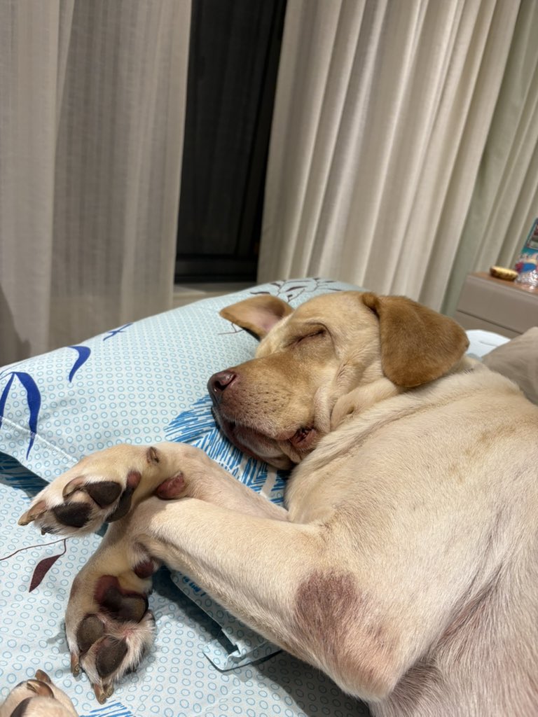 Miss sleeping next to the loml