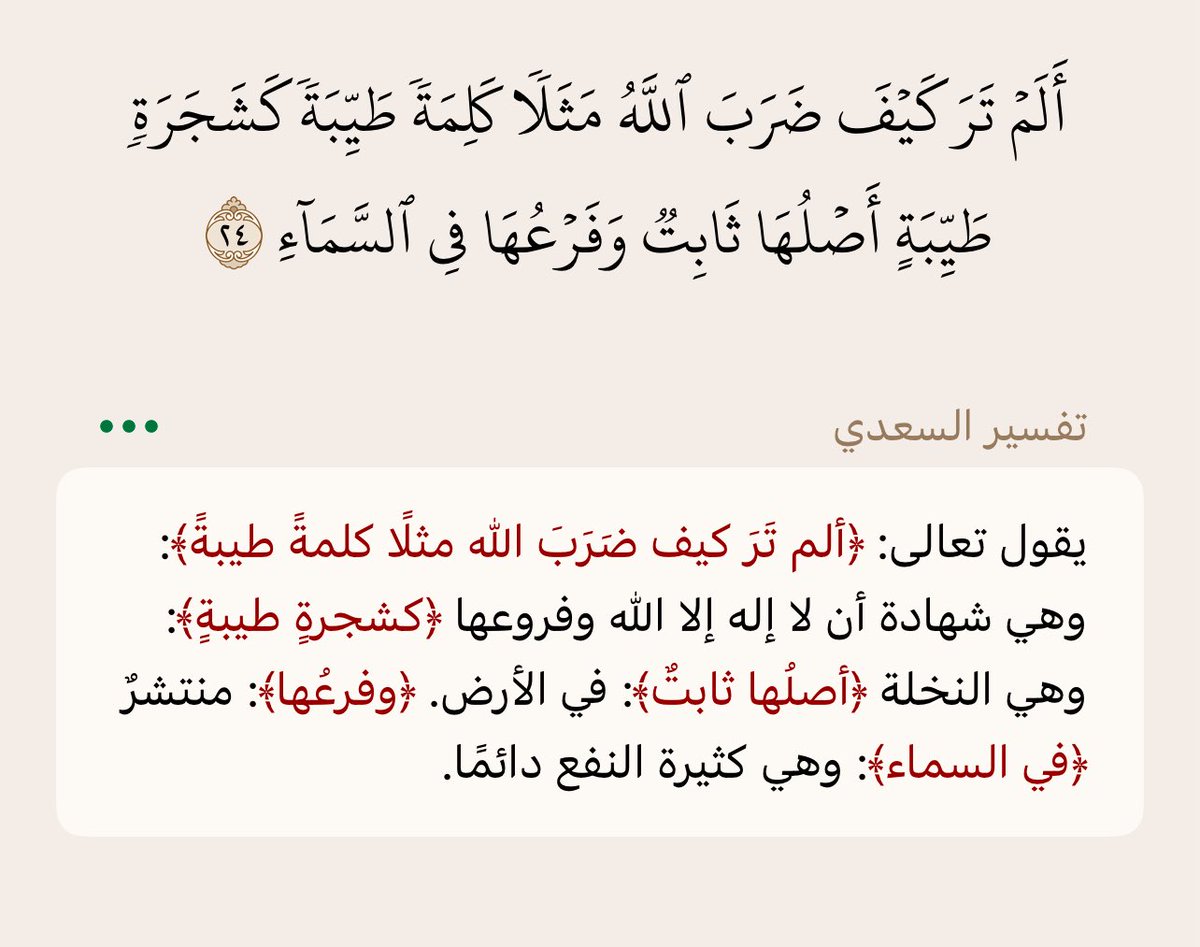 mx1346's tweet image. لا اله إلا الله وحده لا شريك له