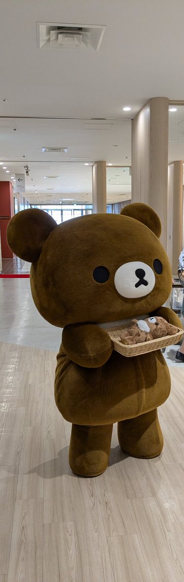 MdGELOgHADGVPSt's tweet image. 立てるぬいぐるみお渡し会　13時
リラックマストア池袋サンシャインシティ店🐻✨

こぐまちゃんが、こぐまちゃんを落とす、ハプニングがありましたが😱
可愛かったです！
落とされたの私のー😭
こぐまちゃん、しっかりして

🐻「娘ちゃん待って、待ってー」
🤭（笑）

#リラックマ
#チャイロイコグマ