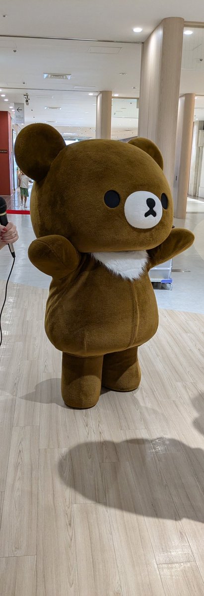 MdGELOgHADGVPSt's tweet image. 立てるぬいぐるみお渡し会　13時
リラックマストア池袋サンシャインシティ店🐻✨

こぐまちゃんが、こぐまちゃんを落とす、ハプニングがありましたが😱
可愛かったです！
落とされたの私のー😭
こぐまちゃん、しっかりして

🐻「娘ちゃん待って、待ってー」
🤭（笑）

#リラックマ
#チャイロイコグマ