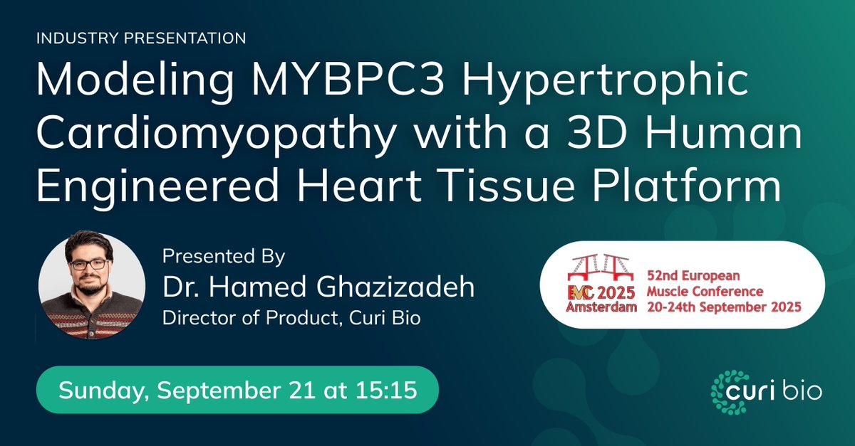 Curi_Bio's tweet image. European Muscle Conference 2025 attendees, don&apos;t miss Curi Bio&apos;s industry presentation today (Sunday) at 15:15, given by Dr. Hamed Ghazizadeh!

More details: hubs.ly/Q03K7Nw-0

#EMC2025 #3Dtissues #EngineeredTissues #Cardiac #MYBPC3