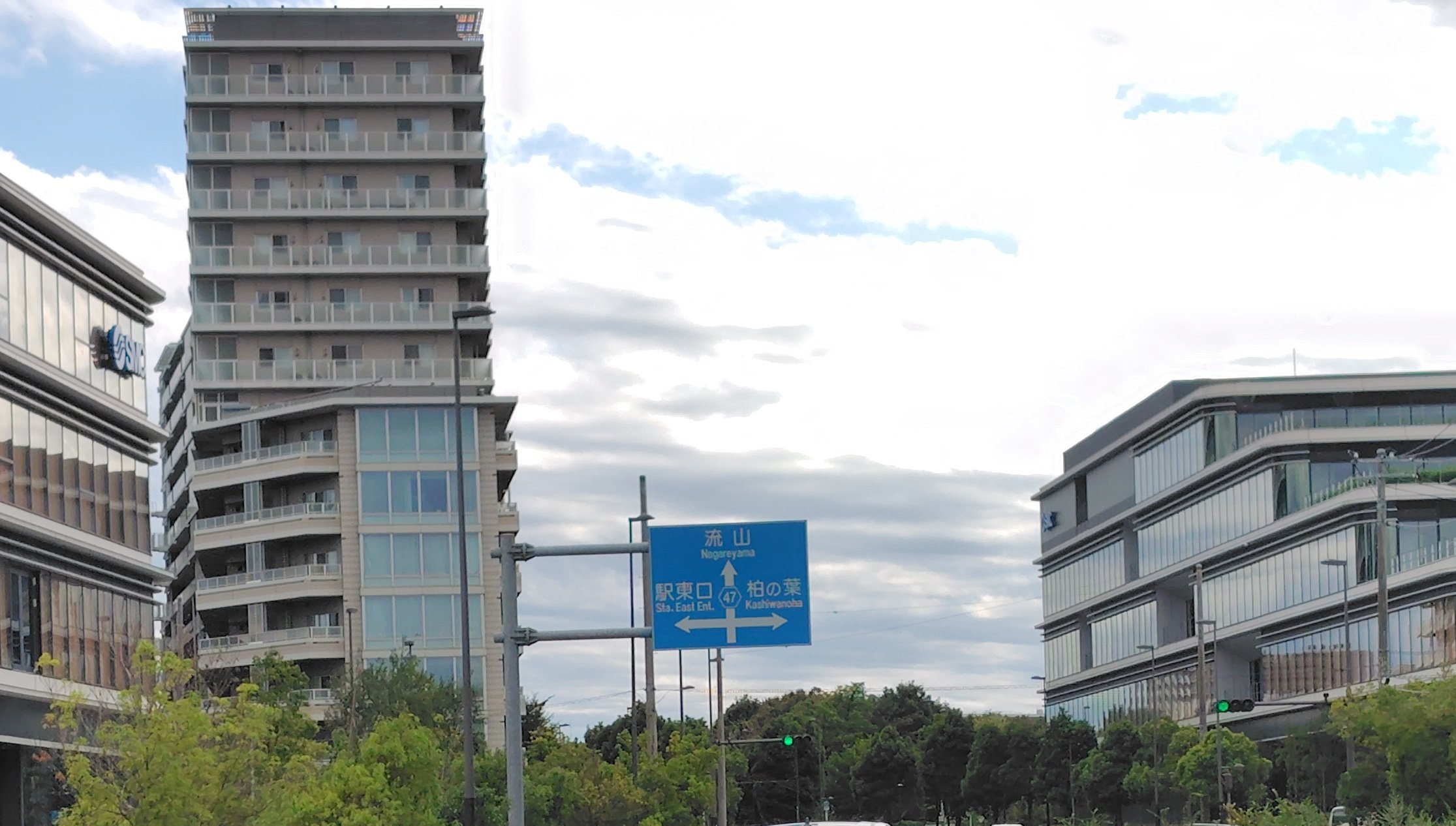 【糸魚川真柏】 値下げ交渉⭕️ muji@TX13 (@ezt01346) / X