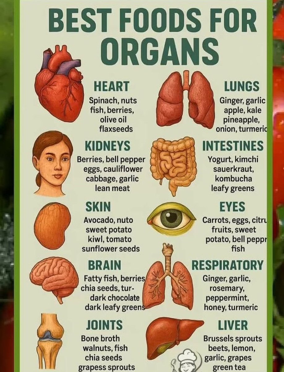 BEST FOODS FOR ORGANS👇👇👇