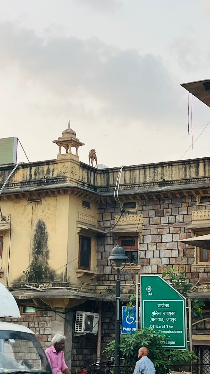 Dogesh bhai on the top