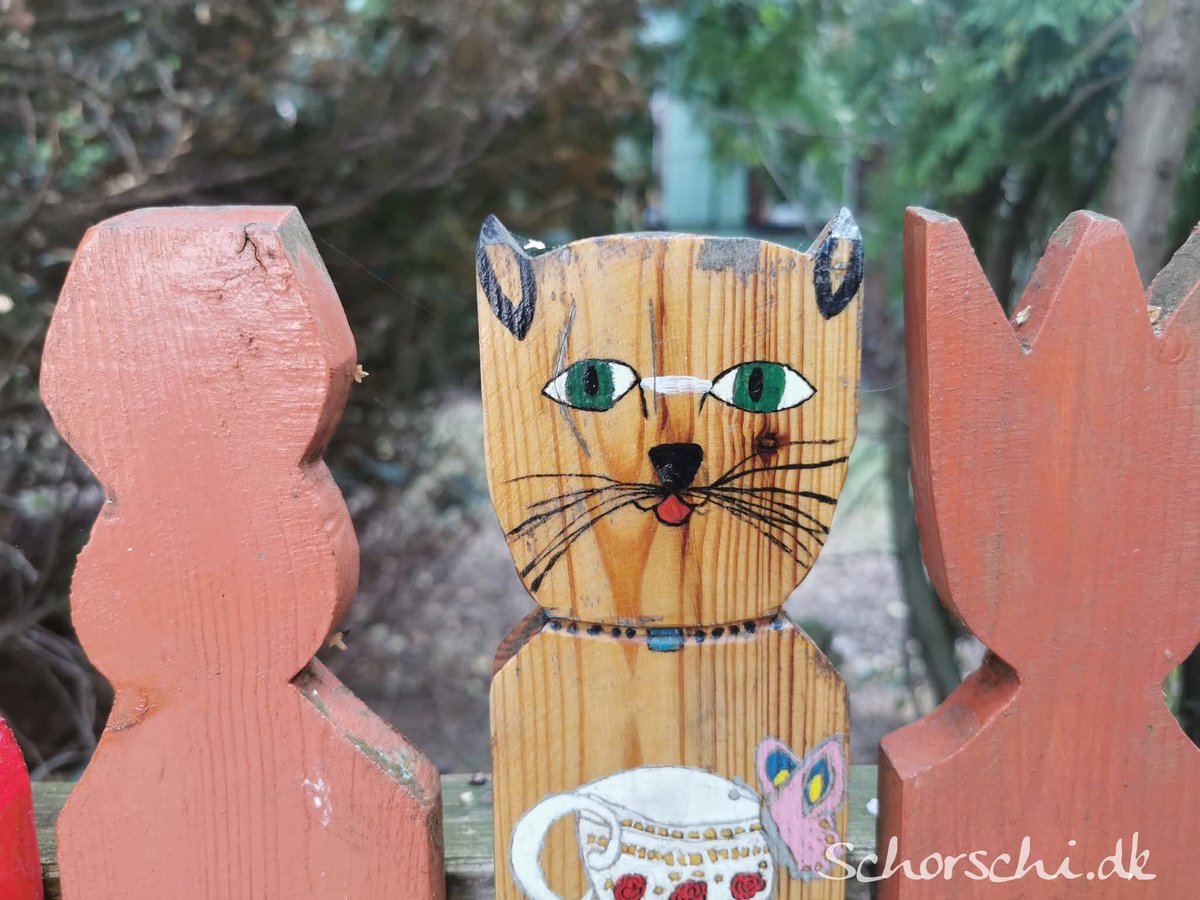 Moin zusammen und habt einen wunderschönen Sonntag 🍀🌞🍀