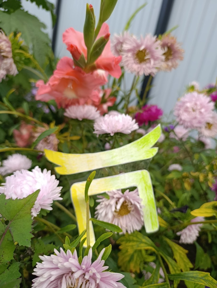rbwkz131313's tweet photo. The Best With ZenChain :)
@zen_chain @ZenChainFam #zenspringvibe https://t.co/G8qcbdFs1D