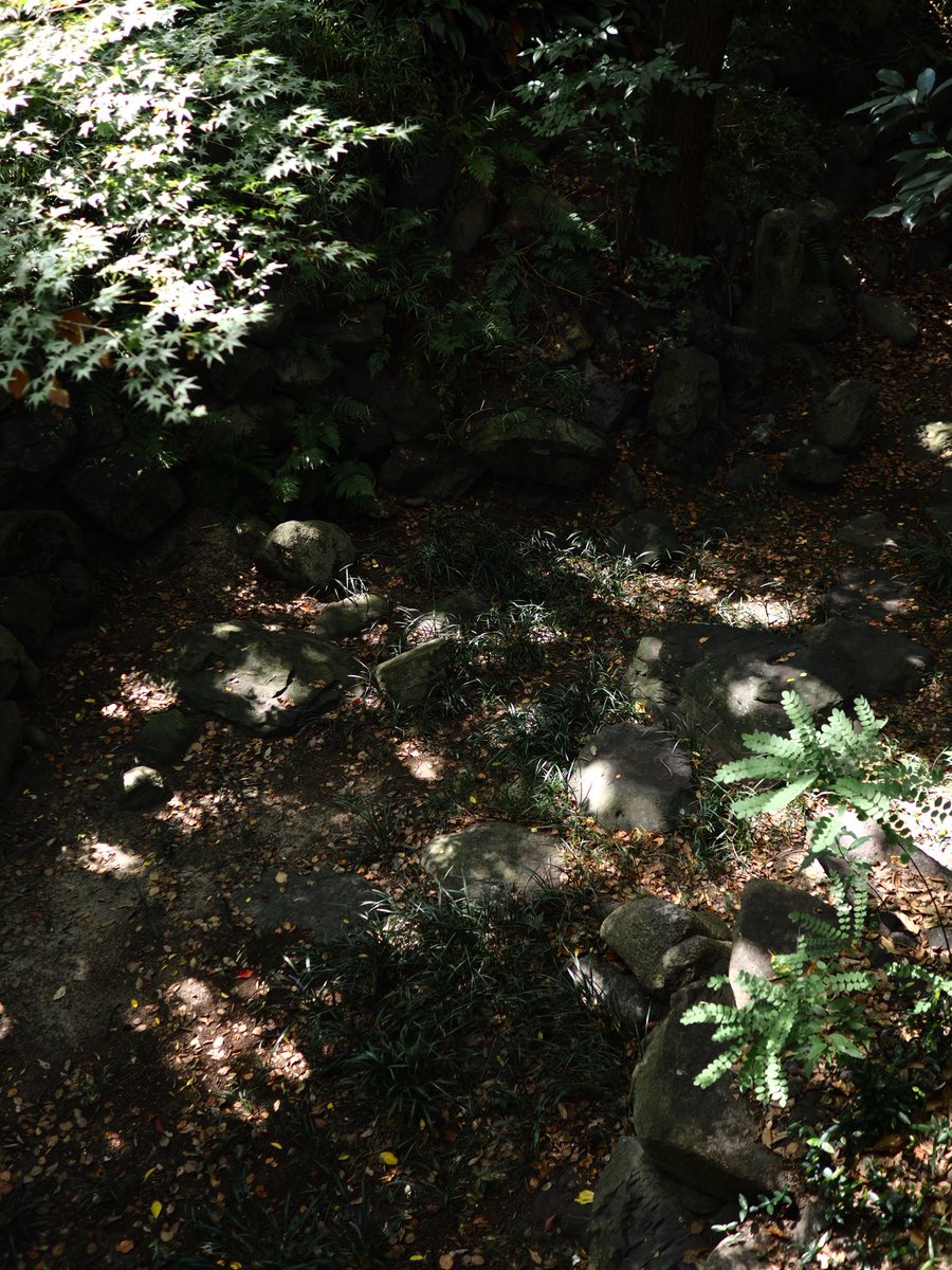 SpringCamellia's tweet image. OM SYSTEM OM-3
M.ZUIKO DIGITAL 17mm F1.8 ||

#カメラ好きな人と繋がりたい
#写真好きな人と繋がりたい
#snapshot
#OMSYSTEM