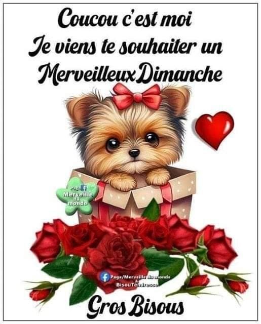 gilles🔞🔞🔞🤣🤣🏳️🌈🏳️🌈🙈🙈🙈 (@chibigilles) on Twitter photo Bonjour ma douce et gentille <a href="/BonhoureN/">BONHOURE Nathalie🎗️🧡 🇮🇱 46 y #IStandWIsraël🇮</a> Nathalie je te souhaite un excellent dimanche passe une agréable journée. Prend soin de toi plein de gros bisous 😘😘❤️❤️💋💋 Bonjour ma douce et gentille <a href="/BonhoureN/">BONHOURE Nathalie🎗️🧡 🇮🇱 46 y #IStandWIsraël🇮</a> Nathalie je te souhaite un excellent dimanche passe une agréable journée. Prend soin de toi plein de gros bisous 😘😘❤️❤️💋💋