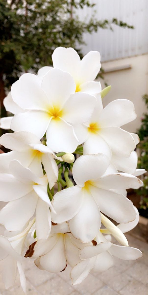 اللهم لا شتات ولا قلق .. اللهم طمأنينة