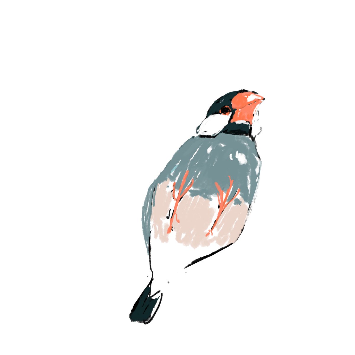 ハヤカワ (@hayakawa0230) on Twitter photo 