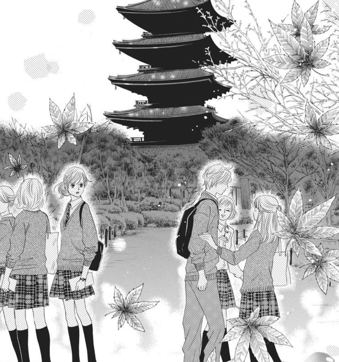 Daily Taichihaya ✨ Chihayafuru tweet media