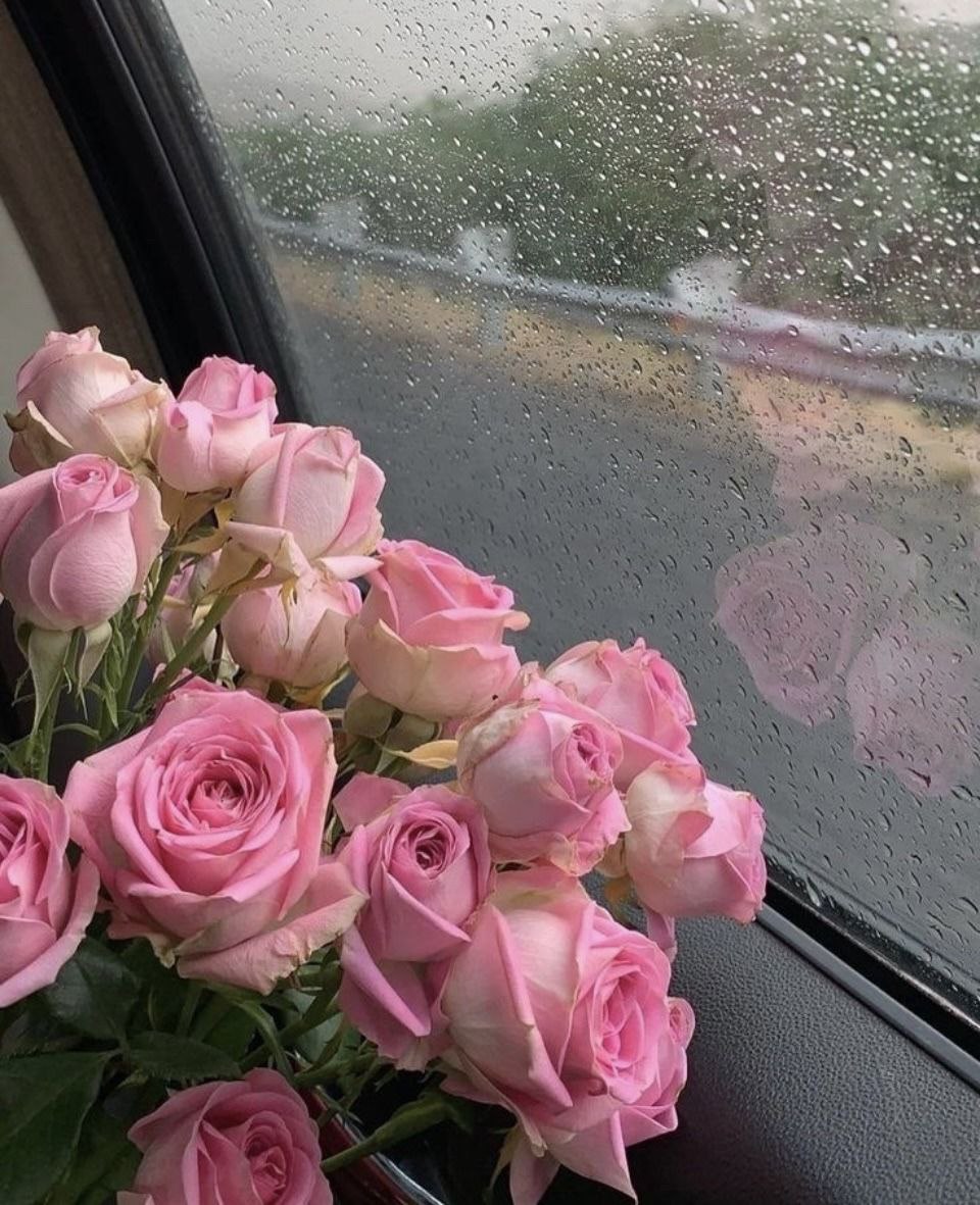 ♡
"اللهُمَّ شُعورَ الرِّضى في كلِّ شيء"🤎.

✨