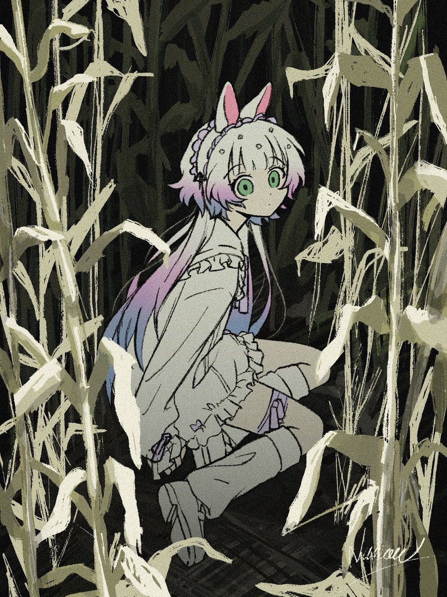 full view 👁️