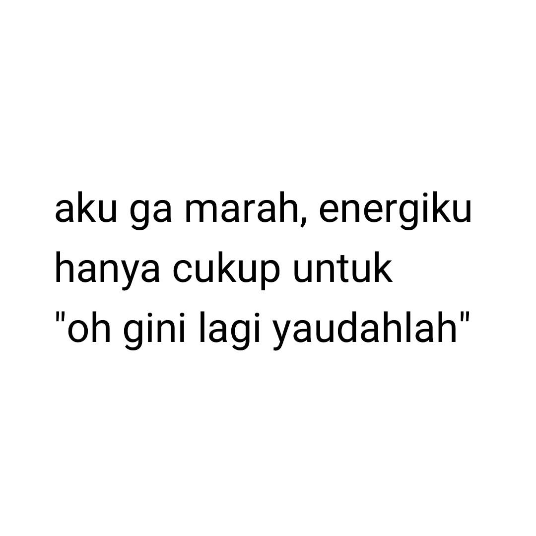 KucengTerbanggg's tweet photo. https://t.co/Lm2hqoVX4S