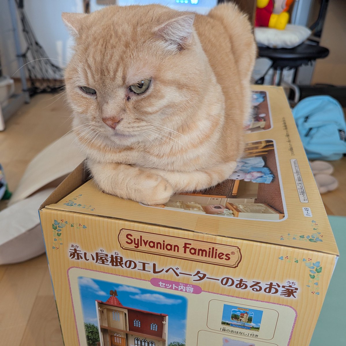 mstnuskm's tweet image. シルバニアファミリーちくわのお家