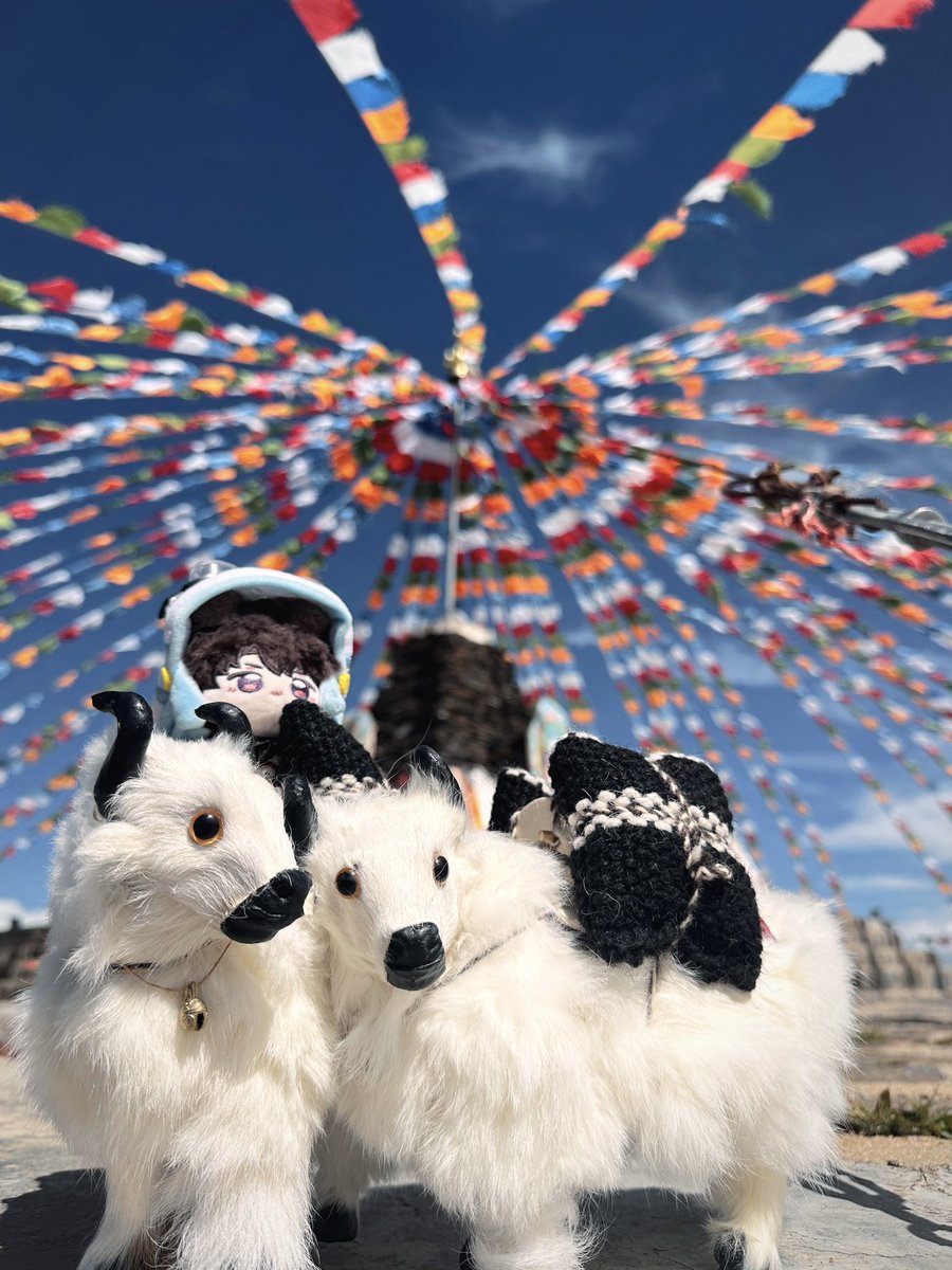 R (@lrrcakie) on Twitter photo 