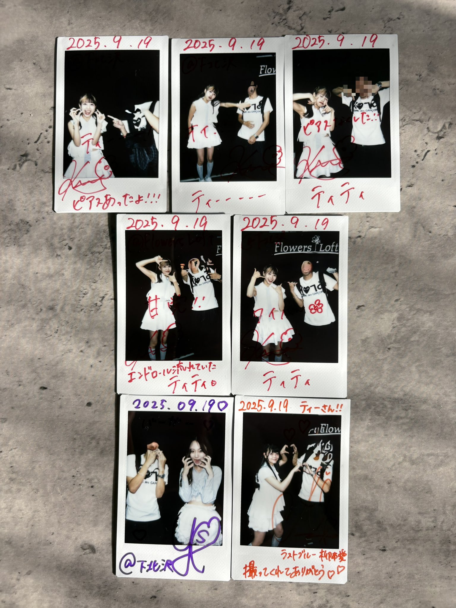 アネモネ - Search / X