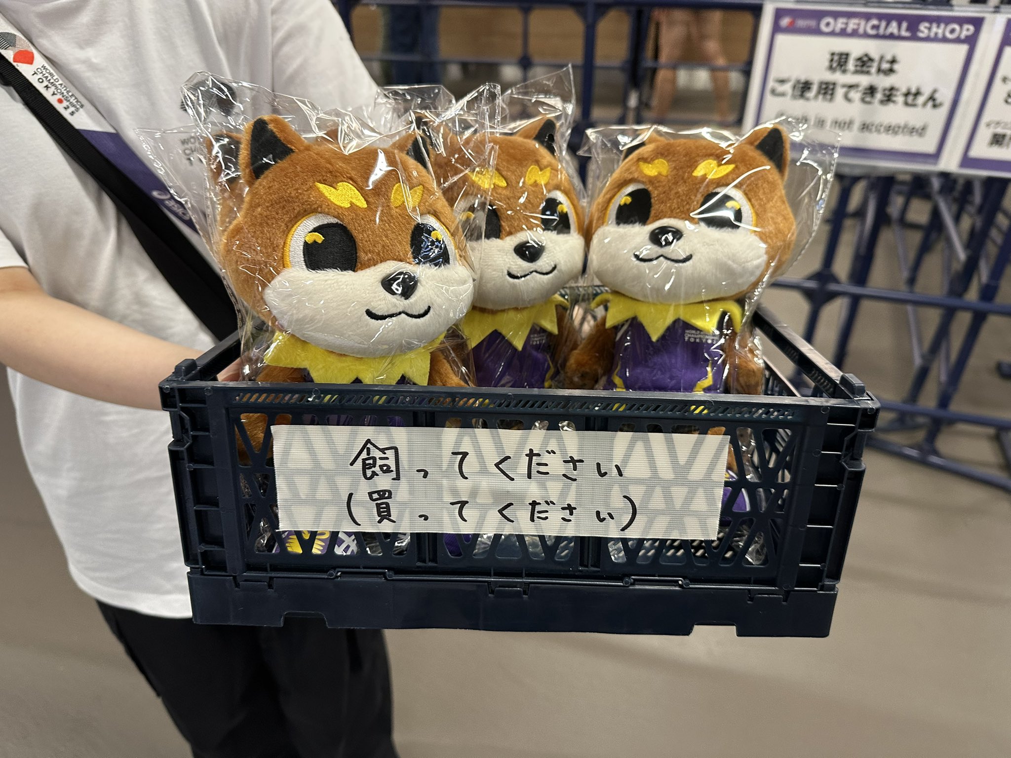 ☆ パンダ★プロフ読んで下さい　 さま 専用 ☆ 00.1bun on X: 