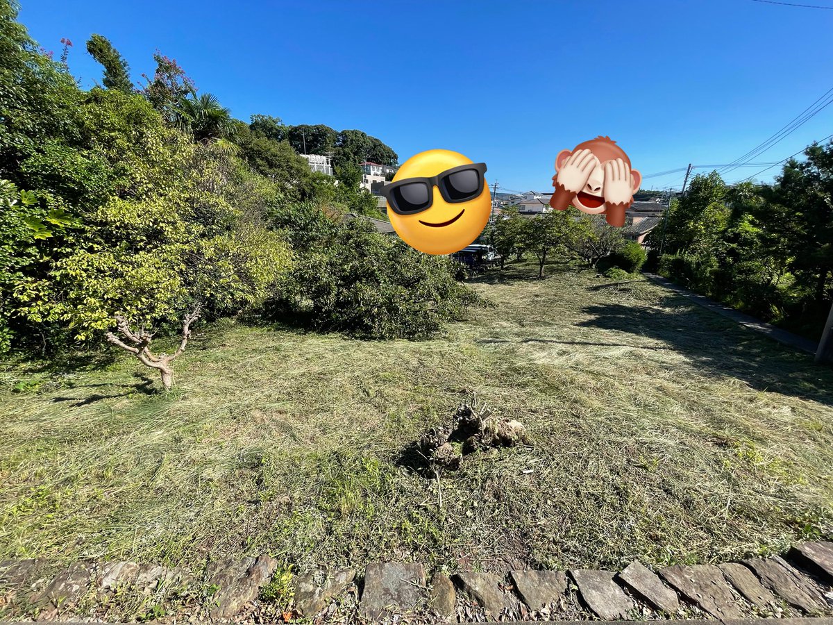 ワイもこれで1万！
勾配と奥行、あとは絡まってくる雑草に毎年涙目